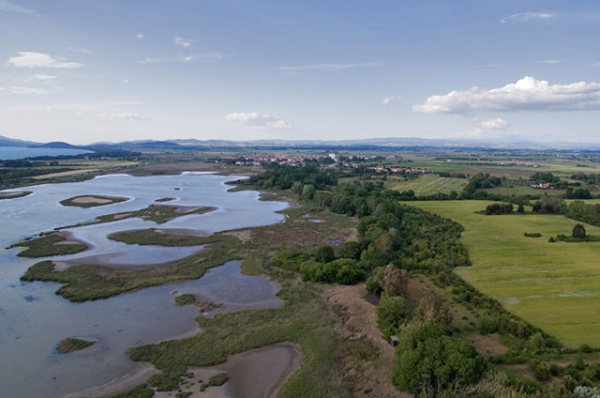 Oasi WWF Laguna di Orbetello