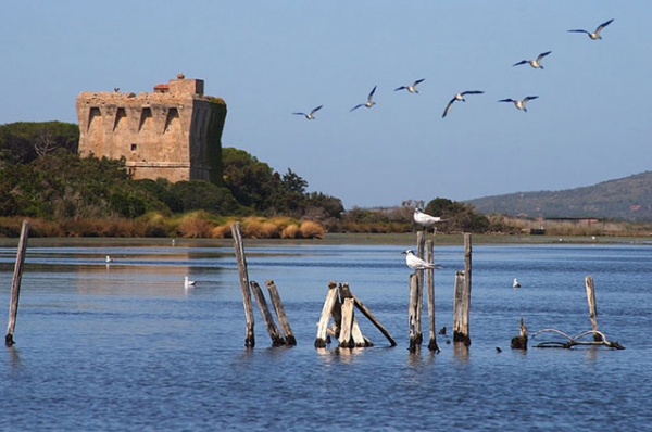 Oasi WWF Lago di Burano