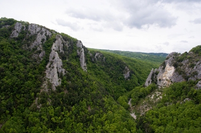 Oasi WWF Bosco Rocconi